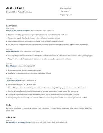 Director Of New Product Development Resume