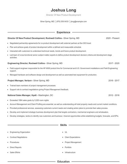 Director Of New Product Development Resume