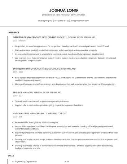 Director Of New Product Development Resume