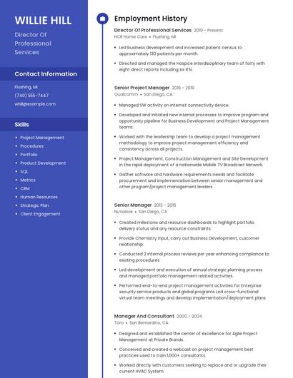 Director Of Professional Services Resume