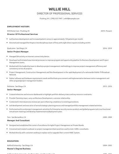 Director Of Professional Services Resume