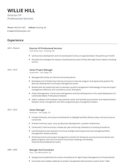 Director Of Professional Services Resume