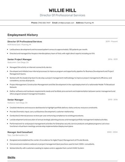 Director Of Professional Services Resume