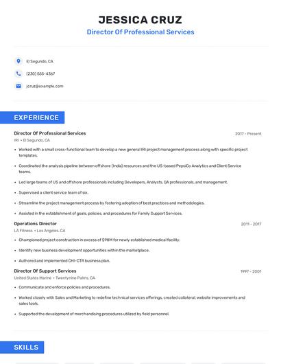 Director Of Professional Services Resume