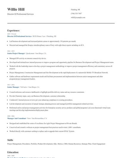 Director Of Professional Services Resume