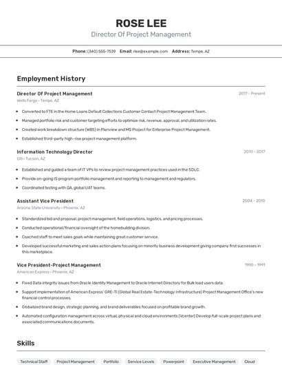 Resume example 2