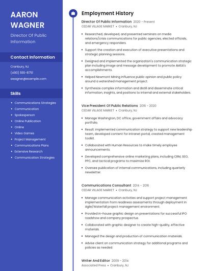 Director Of Public Information Resume