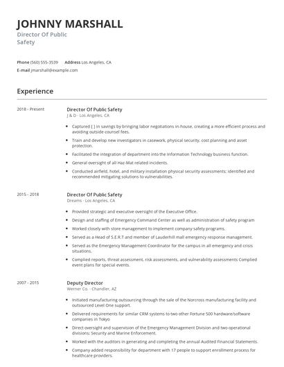 Director Of Public Safety Resume
