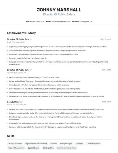 Director Of Public Safety Resume