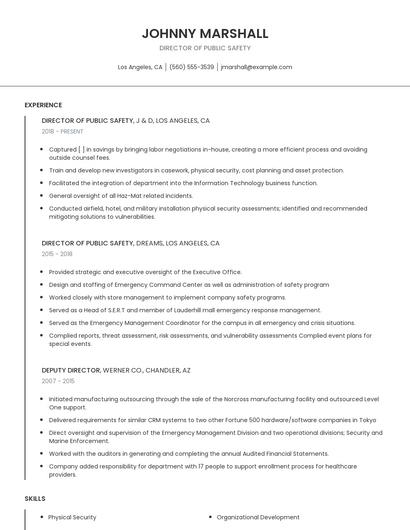 Director Of Public Safety Resume