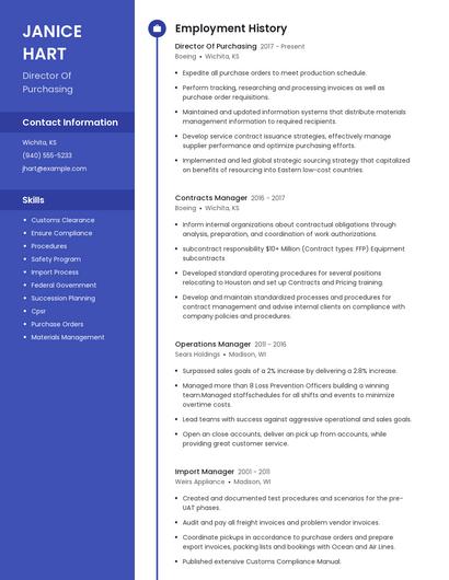 Resume example 4