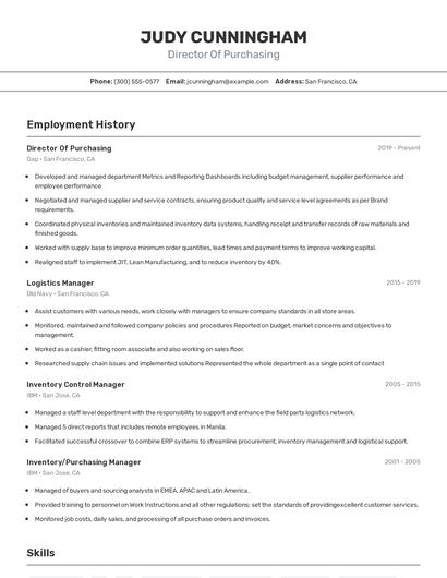 Resume example 2