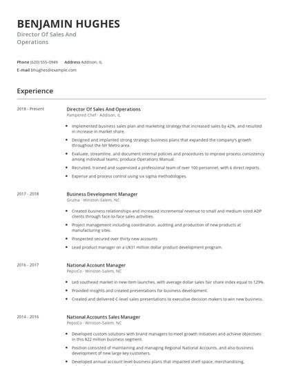 Director Of Sales And Operations Resume