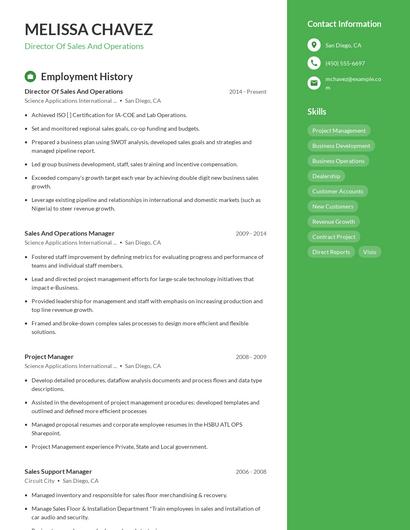 Resume example 4