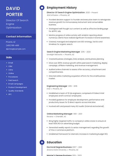 Director Of Search Engine Optimization Resume