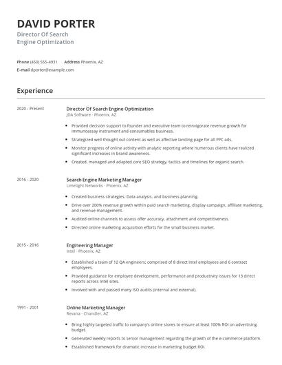Director Of Search Engine Optimization Resume