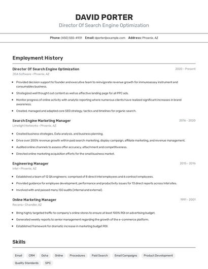 Director Of Search Engine Optimization Resume
