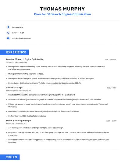 Director Of Search Engine Optimization Resume
