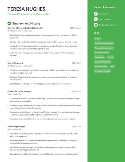 Director Of Search Engine Optimization Resume