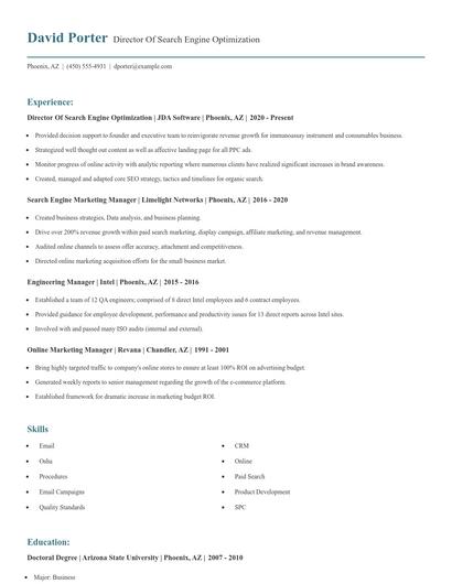 Director Of Search Engine Optimization Resume