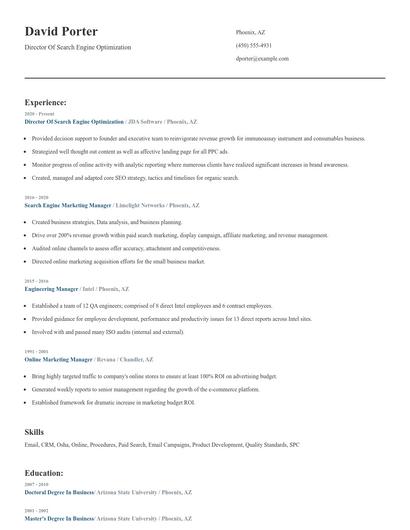 Director Of Search Engine Optimization Resume