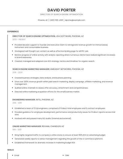 Director Of Search Engine Optimization Resume