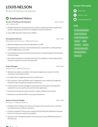 Resume example 4