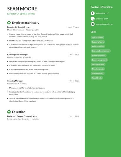 Resume example 4