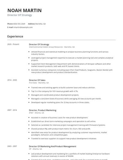 Director Of Strategy Resume