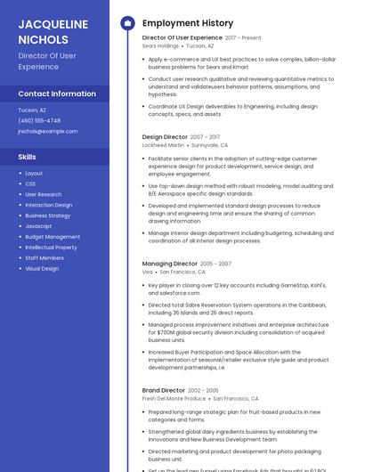Director Of User Experience Resume