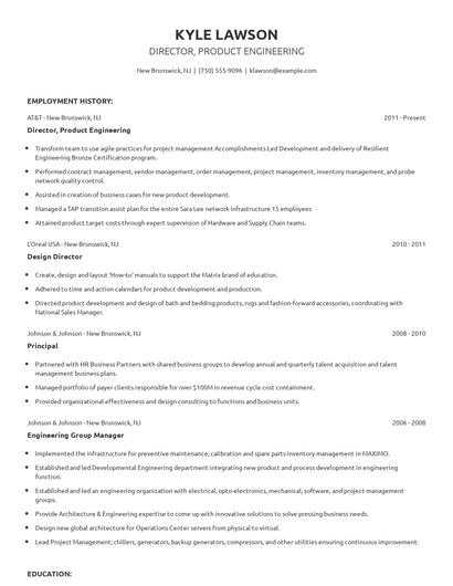 Director, Product Engineering Resume