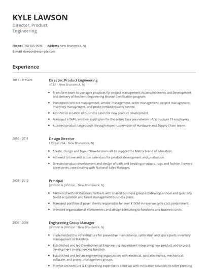 Director, Product Engineering Resume