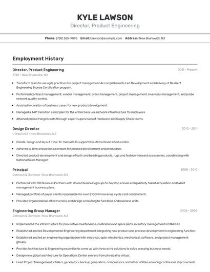 Director, Product Engineering Resume