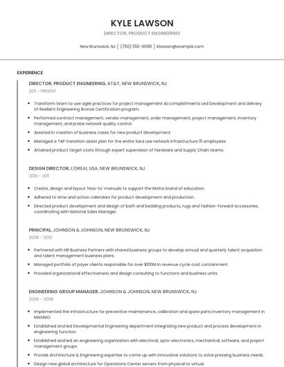 Director, Product Engineering Resume