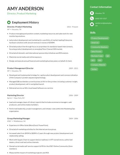 Resume example 4
