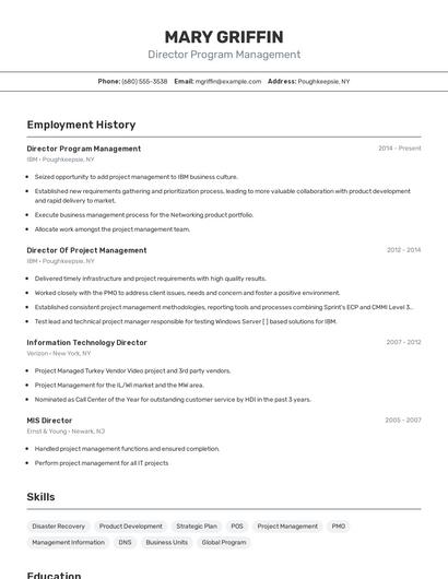 Resume example 2