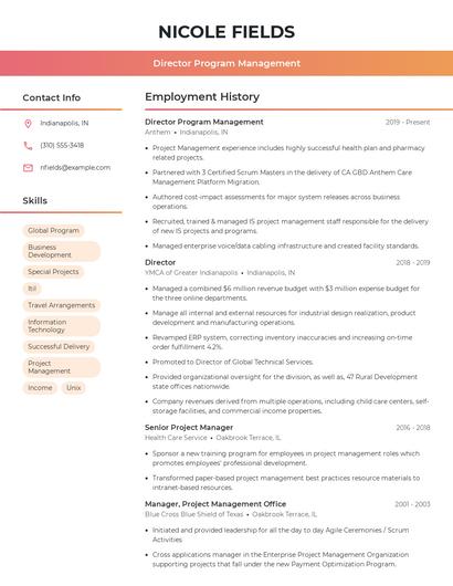 Resume example 3