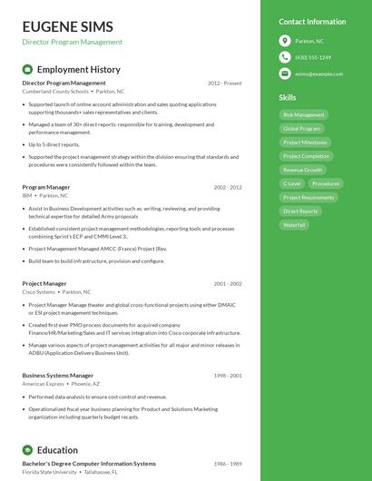 Resume example 4