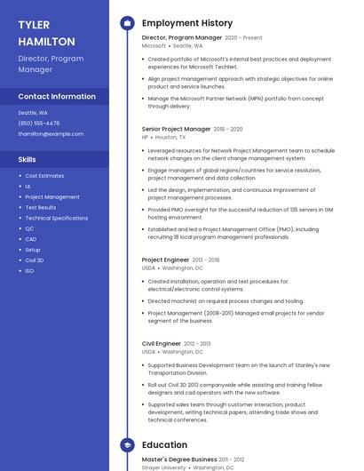 Resume example 5