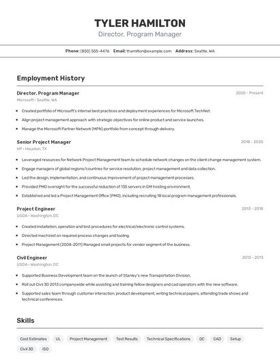 Resume example 2