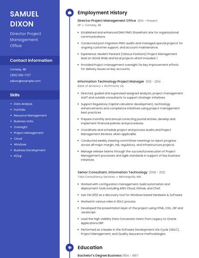 Director Project Management Office Resume