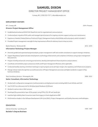 Director Project Management Office Resume
