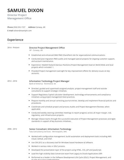 Director Project Management Office Resume