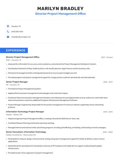 Director Project Management Office Resume