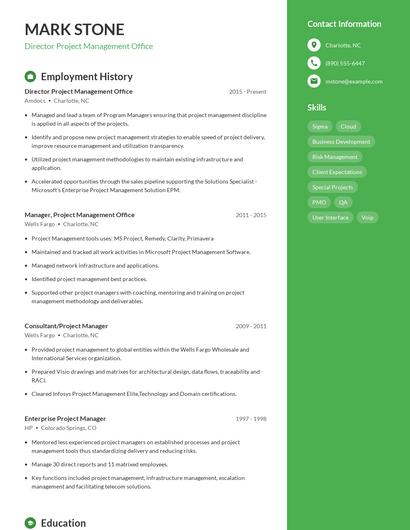 Director Project Management Office Resume