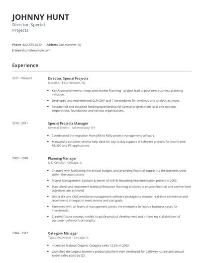 Director, Special Projects Resume