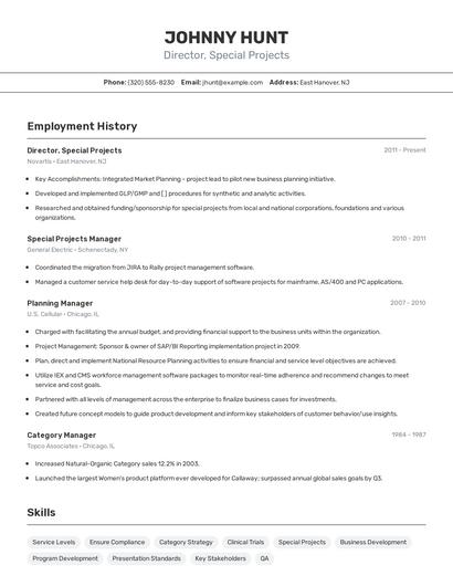 Director, Special Projects Resume