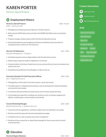 Director, Special Projects Resume