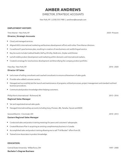 Director, Strategic Accounts Resume