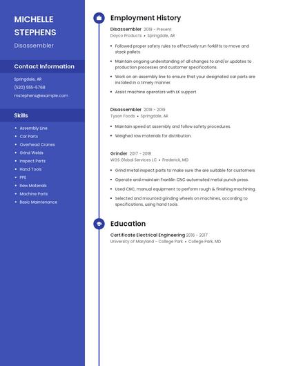 Disassembler Resume